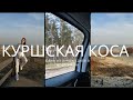 КУРШСКАЯ КОСА | ОДИН ИЗ САМЫХ ЛУЧШИХ И КРАСИВЫХ ДНЕЙ В ЖИЗНИ