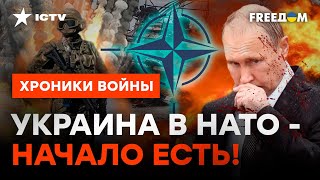 ПУТИНУ будет дорого и ОЧЕНЬ БОЛЬНО воевать! КОГДА ВСУ станут войсками НАТО? @skalpel_ictv