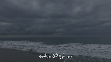 قل من يرزقكم من السماء والأرض أمن يملك السمع والأبصار القارئ عبدالرحمن مسعد سورة يونس