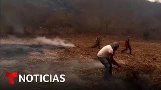 El fuego ha quemado en México el equivalente a 14,000 campos de fútbol | Noticias Telemundo