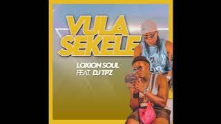 Loxion Soul feat. Dj TPZ - Vula Sekele