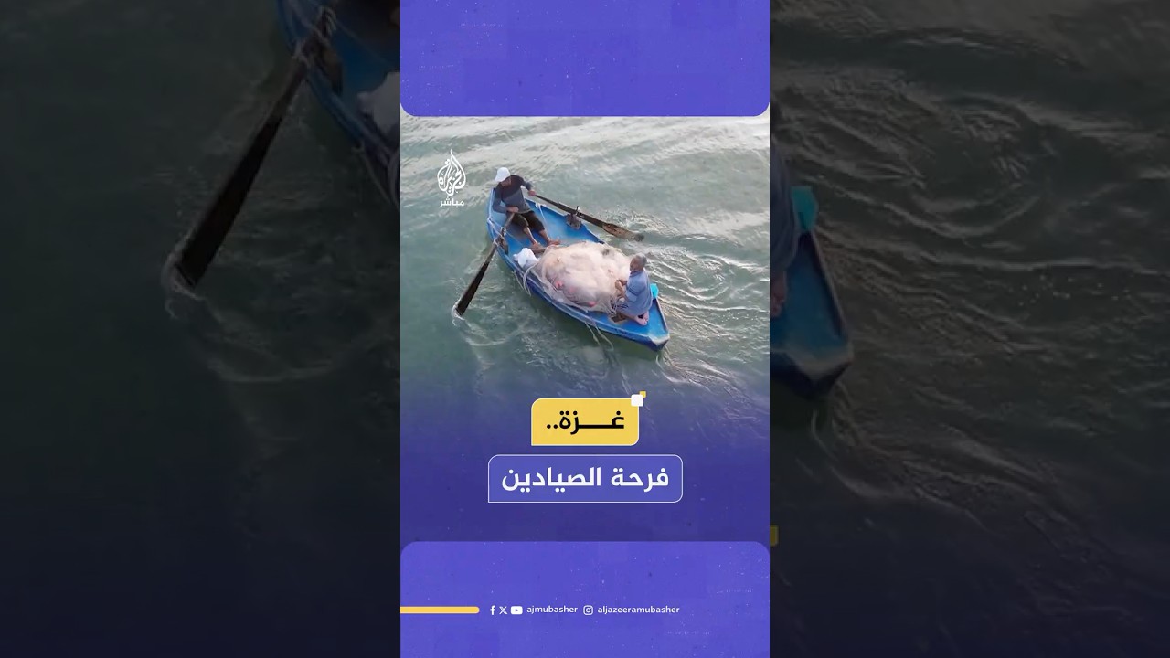 صور جوية تظهر عودة الصيادين في غزة لممارسة عملهم في صيد الأسماك