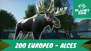 Alces Speed Build / Así Iniciamos Nuestro Zoológico Europeo