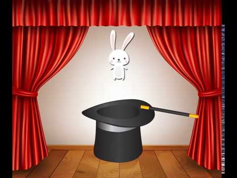 The Rabbit Show