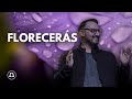 Florecerás | Diego Di Rosa |  Catedral de la Fe Avellaneda