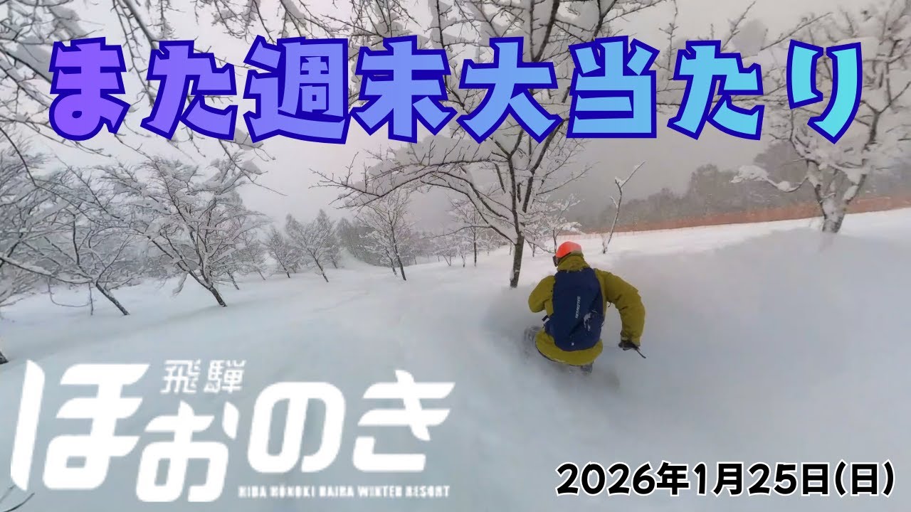また週末大当たり！【ほおのき平スキー場】(2026年1月25日) #ほおのき平スキー場