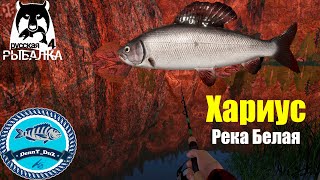Хариус Европейский на реке Белая. Фарм. Раздача - Русская Рыбалка 4