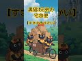 黒猫3兄弟の宅急便【すきまいせかい】