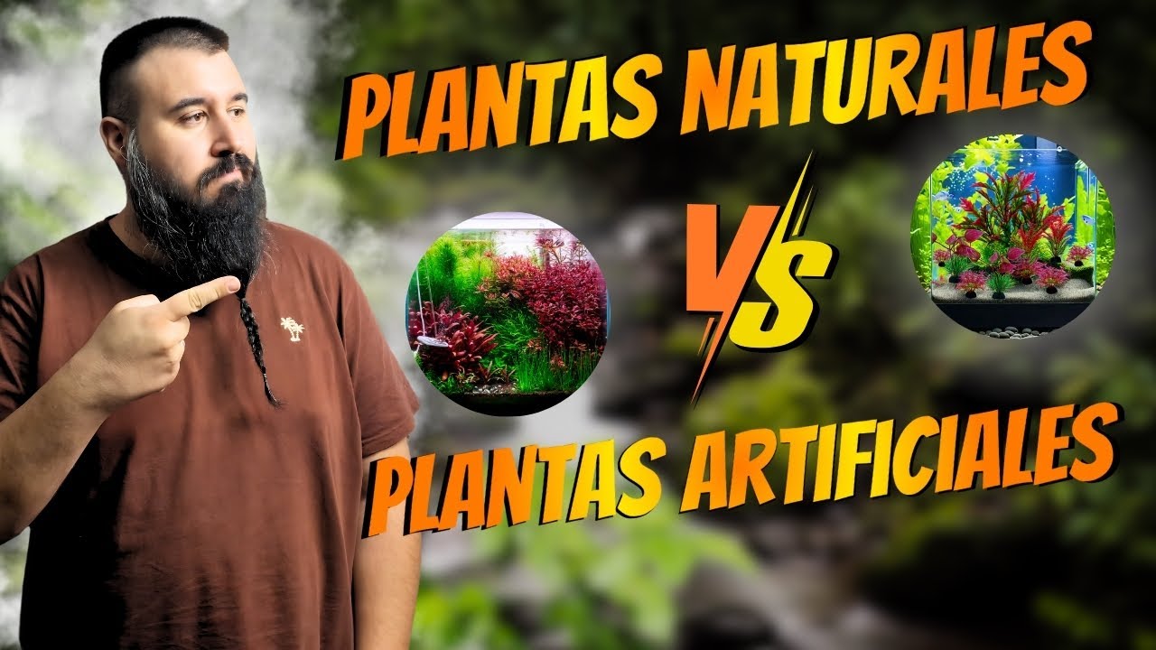 PLANTAS NATURALES vs ARTIFICIALES | Guía Definitiva: Cuáles Usar ✅ y Cuáles Evitar ❌