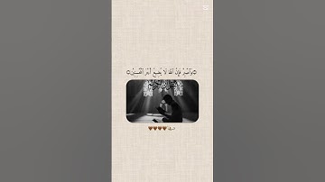 آيات و تلاوات من الذكر الحكيم #القرآن_الكريم #المصحف #راحة_نفسية #اكسبلور #المغرب #تيك_توك