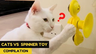Cat Reaction to Fidget Spinner – Funny Cat Compilation by Petites Paws 1,759 views 3 years ago 1 minute, 25 seconds