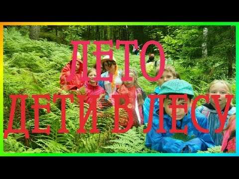 ★►Лето пришло Хорошо Летом в Лесу Пение птиц в лесу ★►