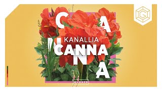 Kanallia - Canna (Radio Mix)