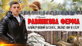 ЯК ВІДКРИТИ РАВЛИКОВУ ФЕРМУ? Інноваційний бізнес в Українському селі
