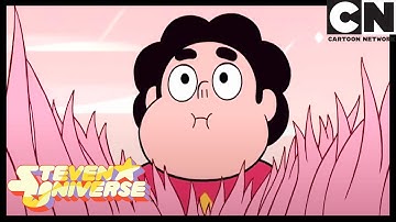 Steven Universe | Steven Travels Back to Earth | Lars