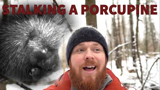 Log Vlog #1 - Stalking a Porcupine by North of the Notch 73 views 3 years ago 10 minutes, 48 seconds