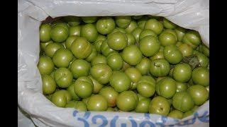 Купили черешню на варенье и алучу на ткемали. Купили черешню на варенье и алучу на ткемали.