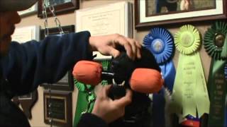 Force Fetch Video One