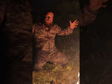 Как я встретил мутанта в чернобыле