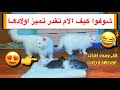 هل القطه لوسي و سكره يقدرون يميزون بين القطط الصغيره ؟؟ 😐💔 لا تفوتكم ردة فعلهم 😂/Mohamed Vlog