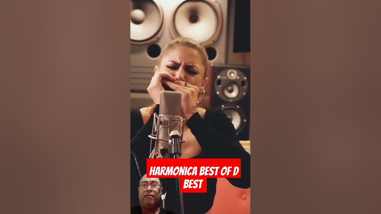 One of the best harmonica player #music #cover #guitar #livemusic