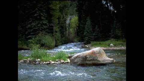 Traducerea suratei Al-Nasr în limba română -- ترجمة سورة النصر الى اللغة الرومانية