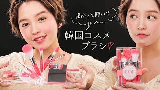【韓国話題のコスメ】Take out Brush Set フルメイクできちゃうメイクブラシのセット