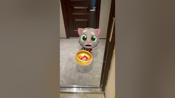 Lunar New Year Celebrations 🎆 Talking Tom #Shorts