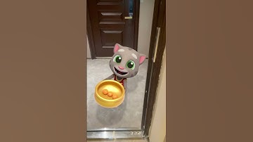 Lunar New Year Celebrations 🎆 Talking Tom #Shorts