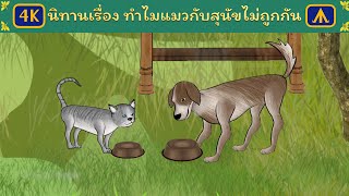 นิทานเรื่อง ทำไมแมวกับสุนัขไม่ถูกกัน 4K | Airplane Tales Thai