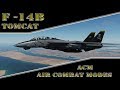 Basic Fundamentals DCS World: F 14B Tomcat  ACM Modes