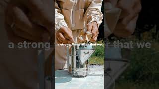 Beekeeper Smoker How to Prepare Bee Smoker Step by Step #beekeeping #bees #smoker #honey
