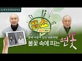 불꽃 속에 피는 연꽃 | 2025. 10. 11. (토) 저녁 정진 | 동림선원 스님들과 함께 하는 불꽃 토크  | Meditation Daily Guided