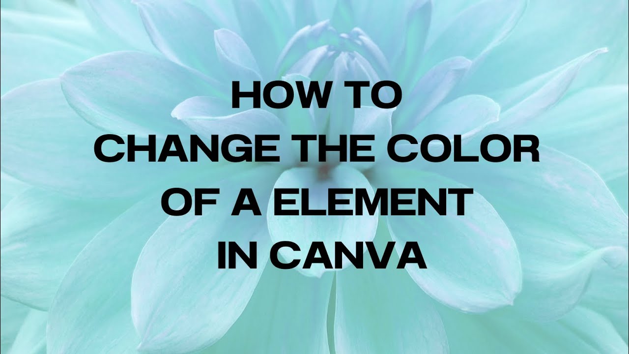 Changing element colors – Venngage Knowledge Base