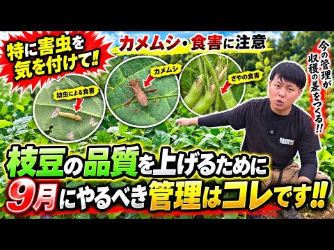 楽農tech - YouTube