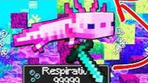 Ho fatto amicizia con un axolot Bosscraft ep11