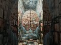 Boltzmann Brains: Random Minds in the Void