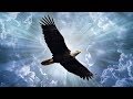 Let Go of Worries Guided Sleep Meditation Soar Like an Eagle Meditation for Sleep