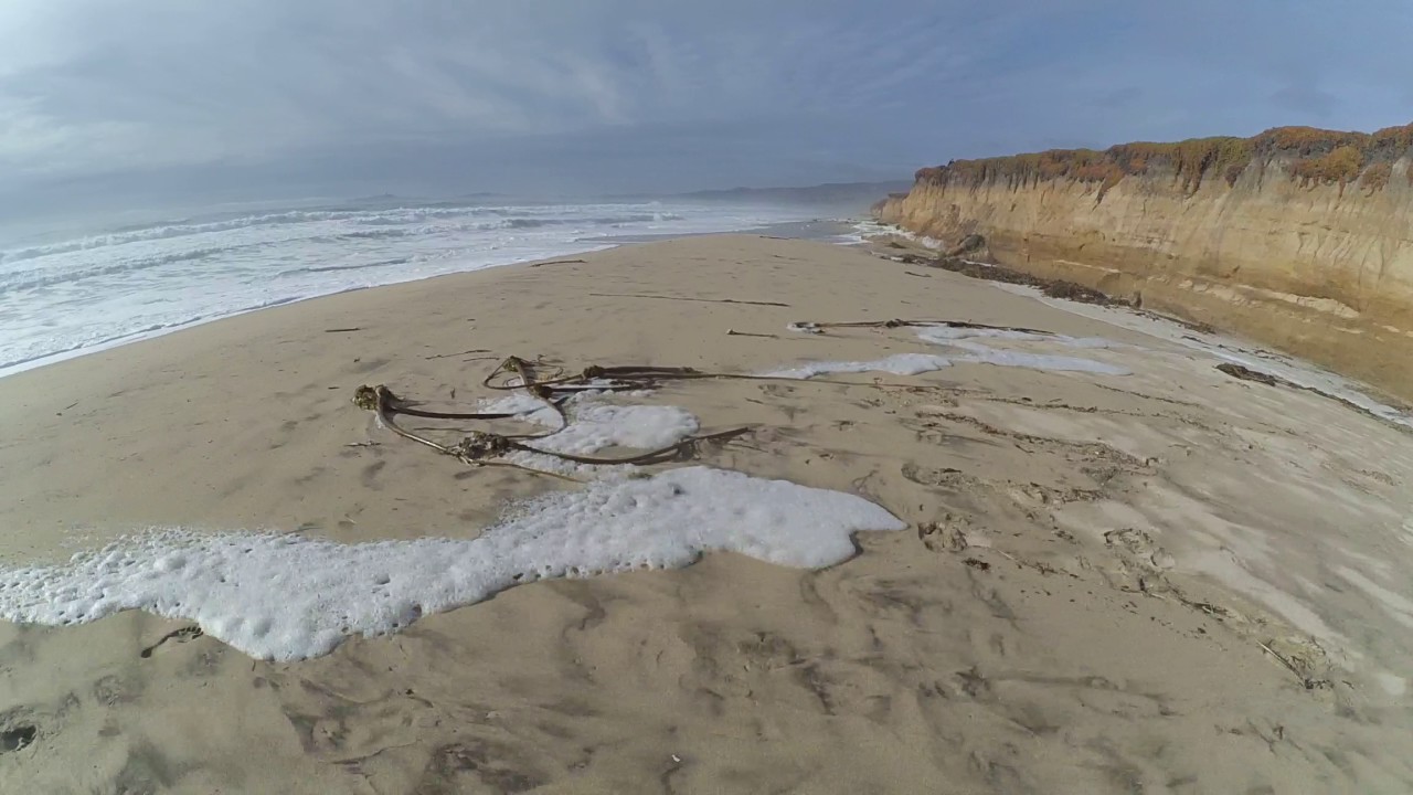 Venice Beach In Half Moon Bay You Venice Beach In Half Moon Bay
