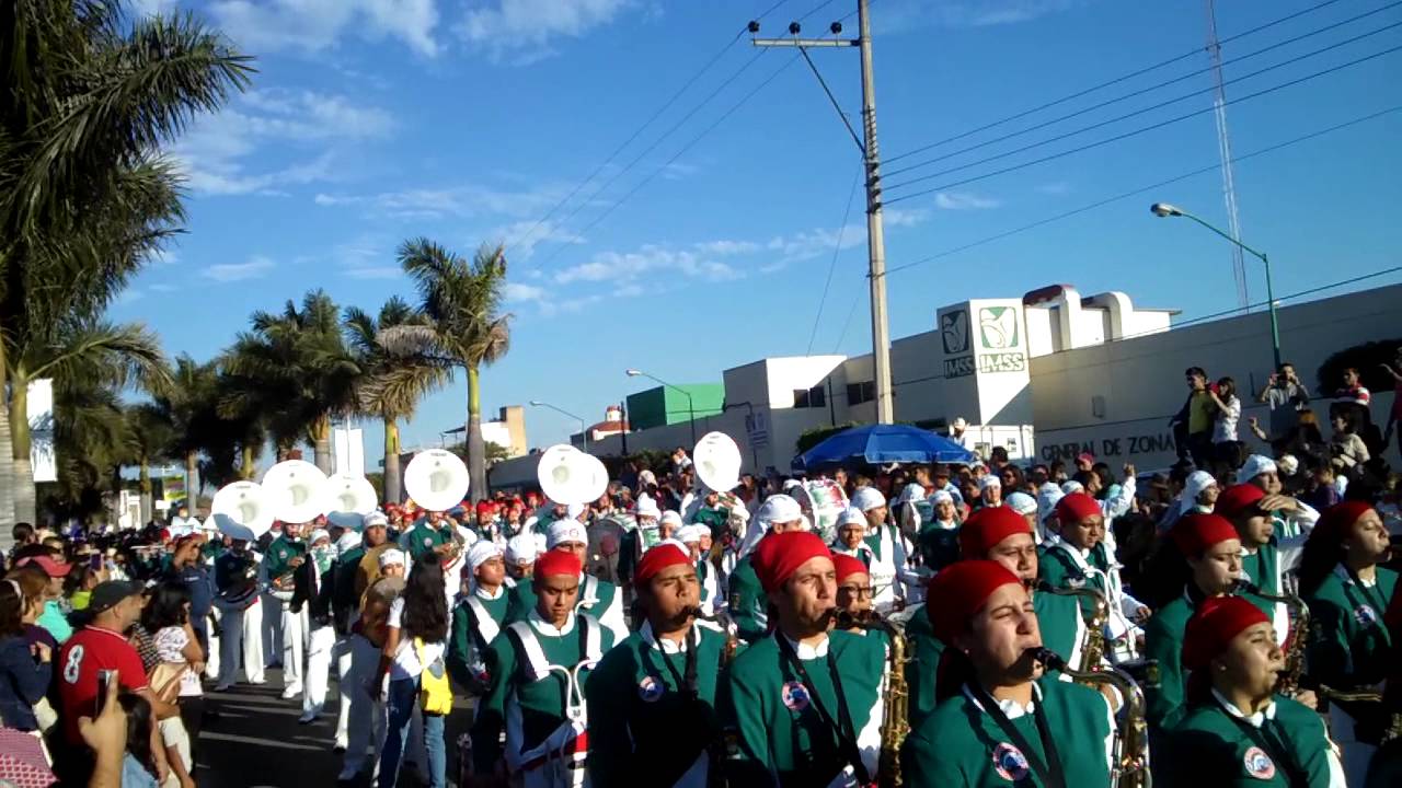 Delfines Marching Band de Xalapa, Verazruz 2015 YouTube