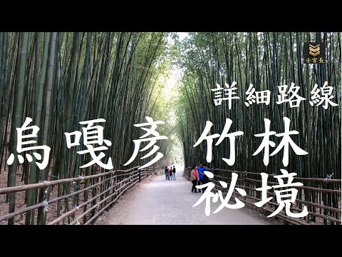 烏嘎彥竹林祕境｜詳細路線路況｜by Gopro hero 8 black｜日本嵐山竹林縮小版｜苗栗縣泰安鄉｜2019/11/30-12/01