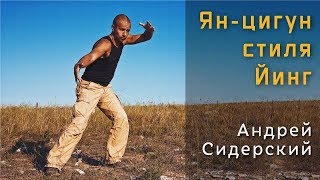 Трейлер | Андрей Сидерский | Ян-цигун стиля Йинг (теория + практика) Трейлер | Андрей Сидерский | Ян-цигун стиля Йинг (теория + практика)