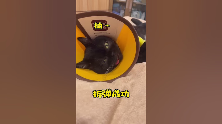 【一只黑糖啵啵🐻】家人们我家猫不会因为这件事情就开始记恨我了吧…