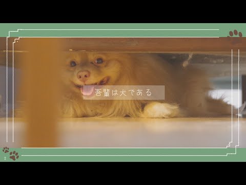 吾輩は犬である。『御馳走には試練を』#1