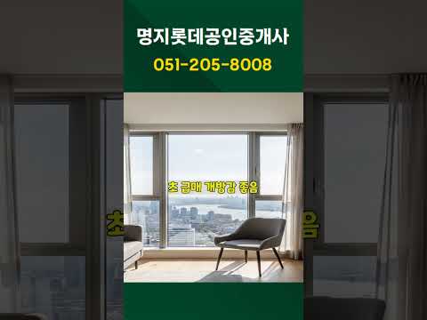 명지롯데캐슬 102동(110B타입)