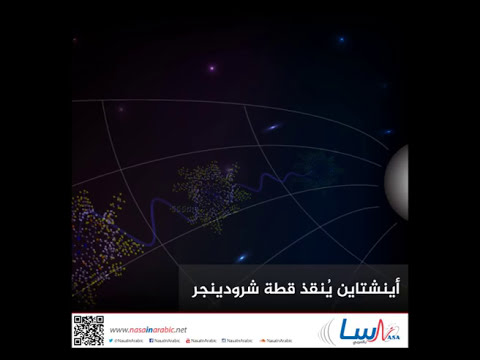 أينشتاين يُنقذ قطة شرودينجر