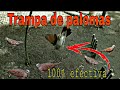 Trampa para palomas fácil de elaborar  (bird trap)