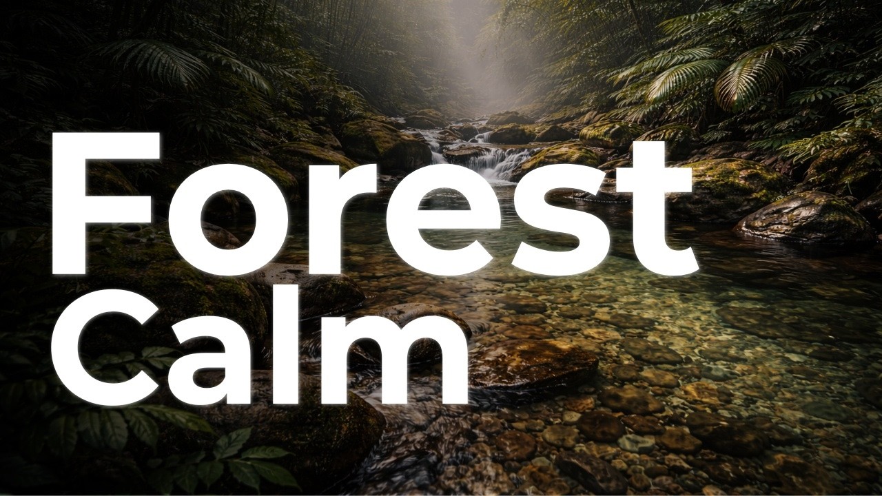 Gentle Music for Sleep | Find Peace in the Forest