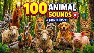 100 Cute Animal Sounds for Kids | Learn Animal Names in English