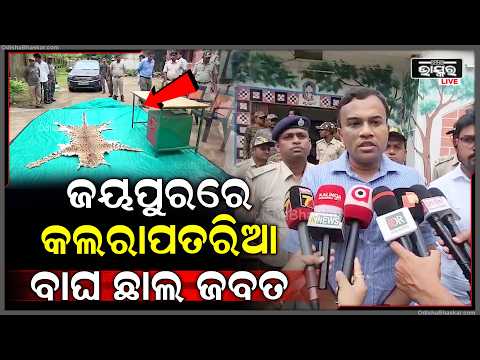 ଗୁଜୁରାଟର ସ୍ୱତନ୍ତ୍ର ଡି ଆର ଆଇ ଟିମ ର ଜୟପୁରରେ ଚଢ଼ାଉ,  ଚଢ଼ାଉ ବେଳେ ଜବତ କଲା  କଲରାପତରିଆ ବାଘ ଛାଲ